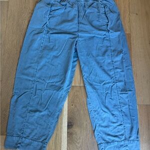 ✨ Free People Blue Preppy Poplin Pull-On Pant - Women’s M - 100% Cotton ✨